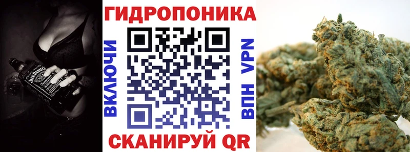 Виды наркоты Светогорск ГАШ  Alpha-PVP  Мефедрон  Кокаин 