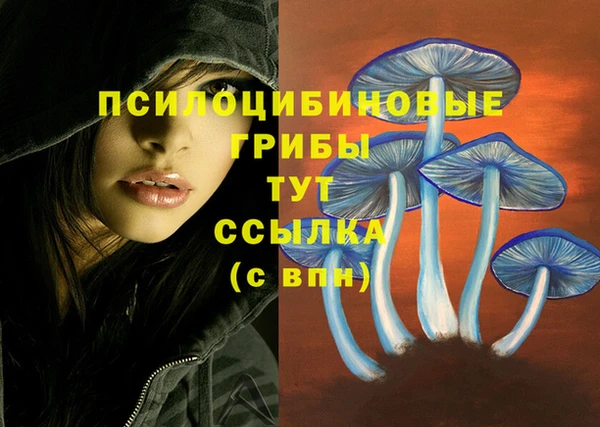 прущая мука Покачи