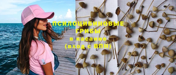 дурь Армянск