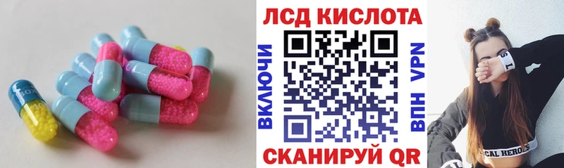 кракен как зайти дарнет шоп Светогорск ЛСД экстази ecstasy