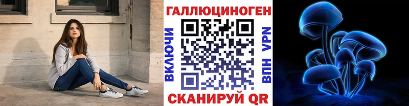 Галлюциногенные грибы GOLDEN TEACHER  где можно купить наркотик  ОМГ ОМГ вход  Светогорск 